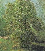 Vincent Van Gogh Blossoming Chestnut Tree painting